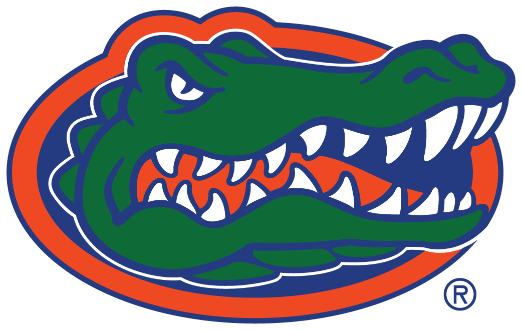 Florida Gators 2013-Pres Primary Logo iron on transfers for clothing